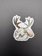 Jackalope Skull 3" Gloss Sticker